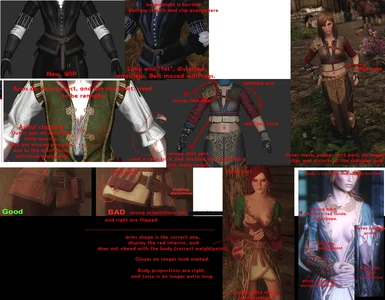 36+ Witcher armor and outfit mods for Skyrim – GIRLPLAYSGAME