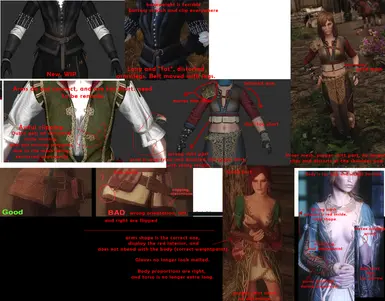 36+ Witcher armor and outfit mods for Skyrim – GIRLPLAYSGAME