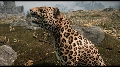 Mihail's Leopard