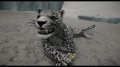 Mihail's Snow Leopard