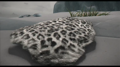 Mihail's Snow Leopard Pelt