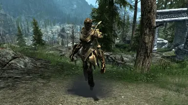 Combat Pose