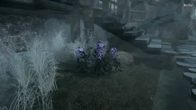 Deathbell After