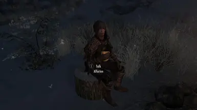 Alfarinn the Windhelm carriage driver