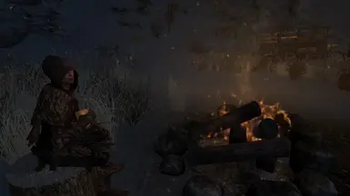 Alfarinn the Windhelm carriage driver