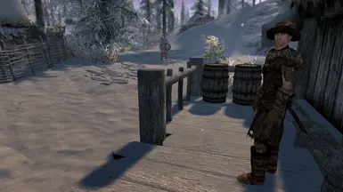 Berud the Dawnstar carriage driver (he has long sleeves in the file but not the picture)