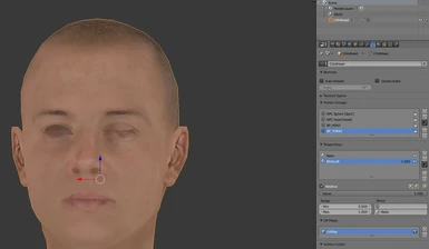 .TRI Facial Animation FaceGen Creation Tutorial