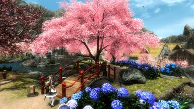 Bridge and Sakura　ver.5.0.0