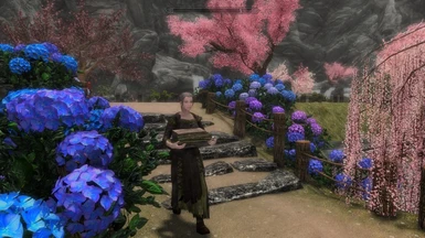 Hydrangea path and NPCs carrying firewood　ver.5.0.0