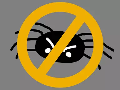 no more spooder