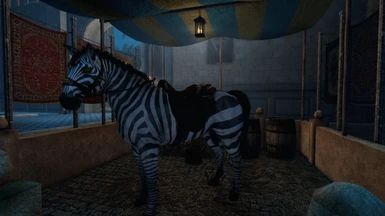 Zebra style horse for The Gray Cowl of Nocturnal