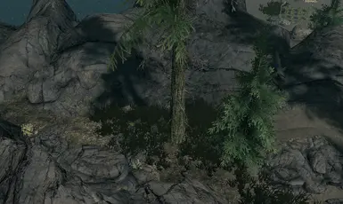 Darkwater Crossing