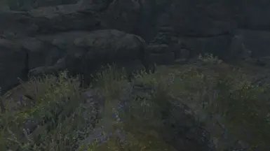 Darkwater Crossing