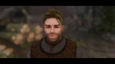 Derp Male Nord High Poly Head preset