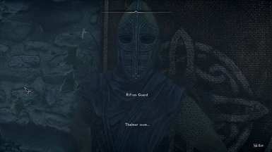Guard Comments on Thalmor Robes