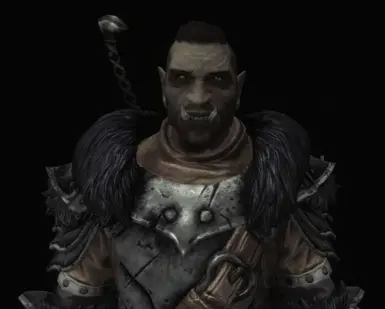 The Orc Warchief