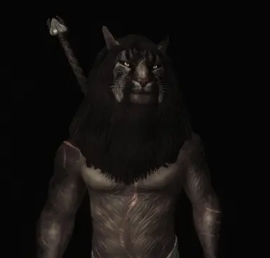 The Khajiit Ronin