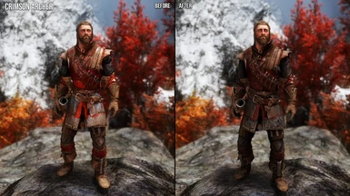 Immersive Armors Retexture and Mesh Fixes SE at Skyrim Special Edition ...