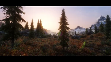 Whiterun Forest Borealis - Ryn's Mods