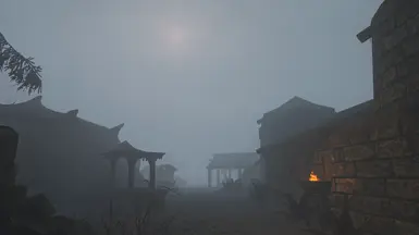 Foggy in Solthem AW 2