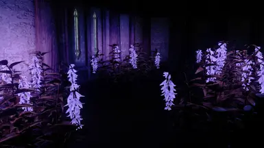 Glowmap