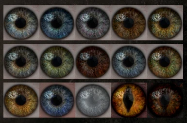 Human eyes (Replacer version)