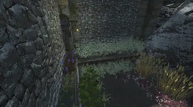 garden/alchemy