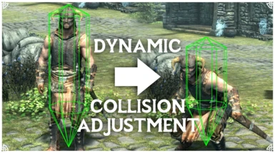 Dynamic Collision Adjustment