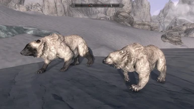 Atmoran Snow Bear (Left) and Snow Bear (Right)