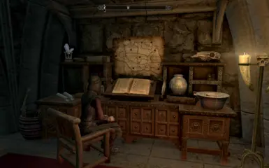 Serana's feeling particularly academic in this redesigned space