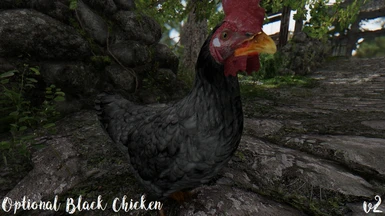 Optional Black Chicken v2 2k