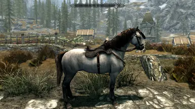 Oblivion horses SE saddle fixes at Skyrim Special Edition Nexus - Mods ...