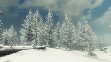 treepineforestsnow