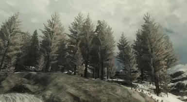 lightsnow