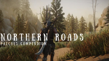Northern Roads - Patches Compendium