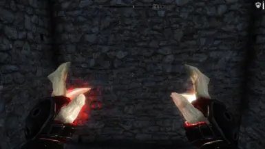 1st person view