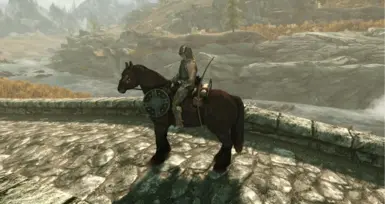 Steam Community :: Screenshot :: Skyrim's version of Gmod's T-pose on a  horse