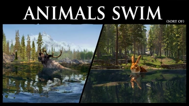 Animals Swim (Sort of)