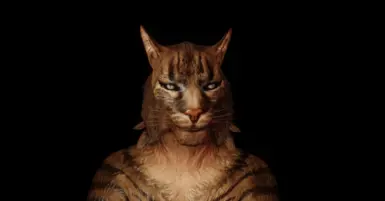 khajiit