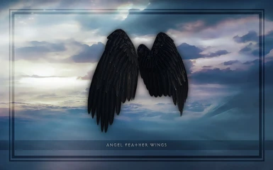Angel Feather Wings - Black