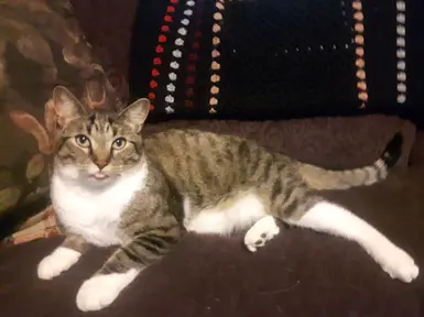thor's ears are saved!!