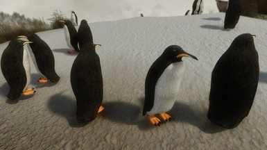 Normal Penguin Group