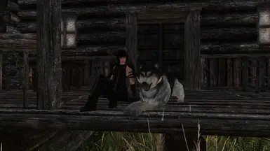 Faithful Companion