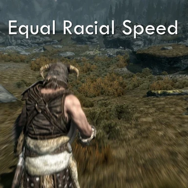 Equal Racial Speed