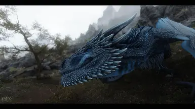 2.0