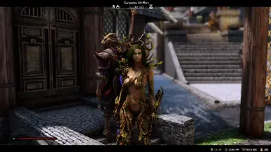 Summon Follower - Danica Pure-Spring the Dryad Healer