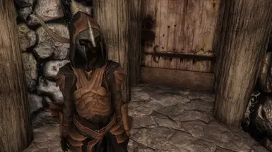 Wearing Immersive Armor's Bosmer armor