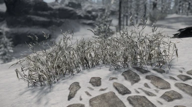 Thicket - snowy