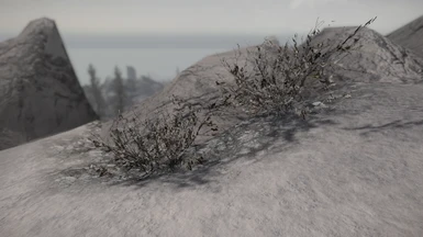 Dead shrub - snowy