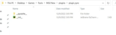 what the inside of the plugin_sync folder looks like